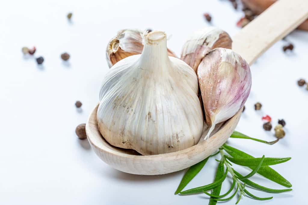 Fresh garlic in wooden spoon with rosemary branch | ✅ Marco ...